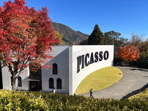 Hakone Explorer 1-Day Nature and History Car Tour with a Licensed guide