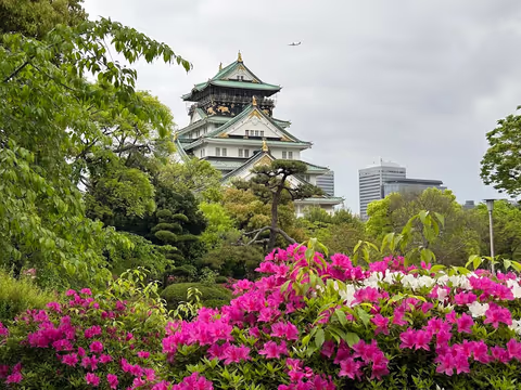 Exclusive Private Osaka Tour: Osaka Castle & Namba Minami Highlights
