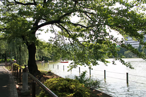 One-day tour in Tokyo with a focus on your preferred shopping and entertainment.