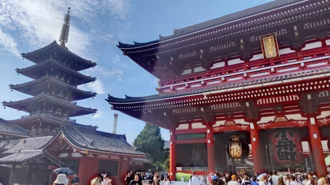 Tokyo Half-Day Morning Tour