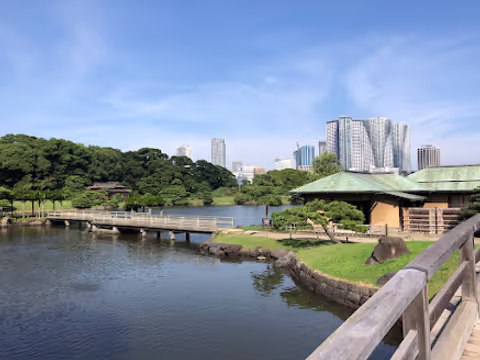 For the first time visitor, Tokyo Highlights, Five-hours