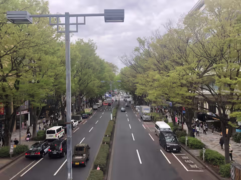 For the first time visitor, Meiji-jingu Shrine and Shibuya, Five hours