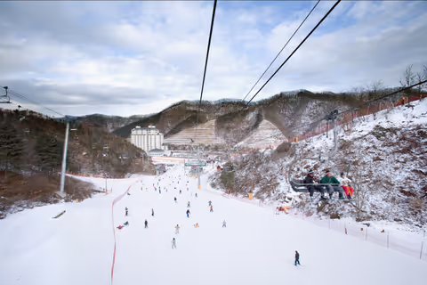 Ski Resort One-Way Private Car Chart Tour (Seoul -> Jisan Forest/Konjiam Resort/Bears Town)_#6815