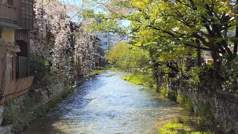 Exploring Kyoto—from Osaka Cruise Terminal [8 hours]