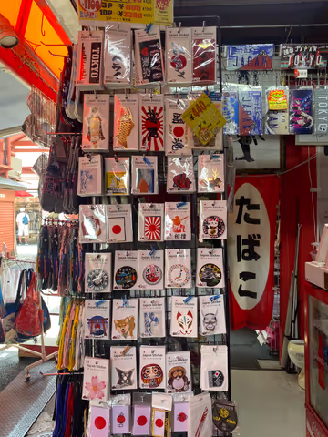 A half day tour to explore the best of Tokyo Old and New