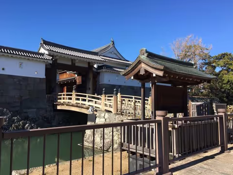 A day trip to Traditional shrine from Shimizu port