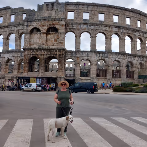 The Roman amphitheater
