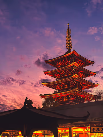 Tokyo Highlights! - 10-Hour Fully Customized Tokyo Tour