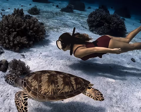 Panglao - snorkelling with turtles and sardines, the secret cave of Hinagdanan and ATV.
