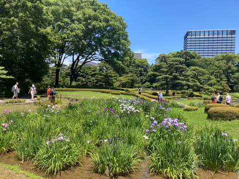 With Romy: A Graceful Walk through the Spirit and Stories of Tokyo