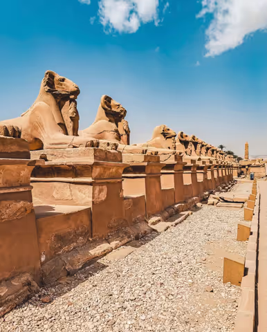 ● VIP Package Tour Luxor Sightseeing's & Dandera Temple