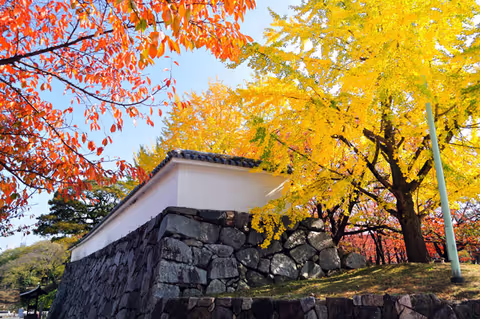 Fukuoka Autumn Colors & Cultural Highlights – 4-Hour Private Tour