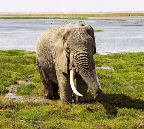 4 day trip to Samburu and Ol Pejeta Conservancy
