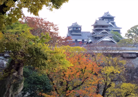 Kumamoto Castle Autumn Foliage Day Trip (from Fukuoka)
