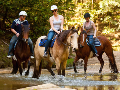 Horse Riding, Koalas & Kangaroos - Wild Australia: Private Tour
