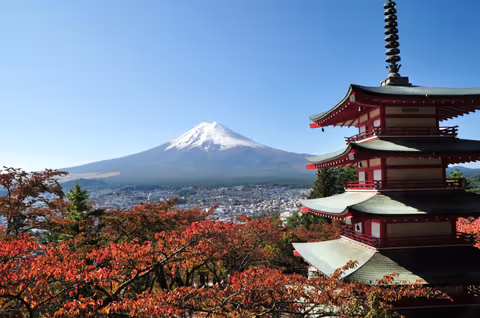 Mt Fuji Full day Trip by Alphard/Vellfire 1-5 persons