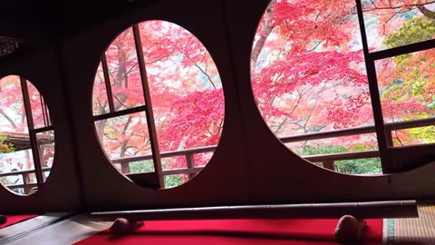 Exploring Kyoto in Rakusai (West) and Rakuchu (Central)