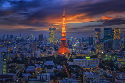 Tokyo Day trip Customizable Alphard/Vellfire with English speaking Driver
