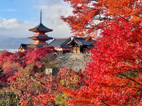 Perfect Trip in Kyoto
