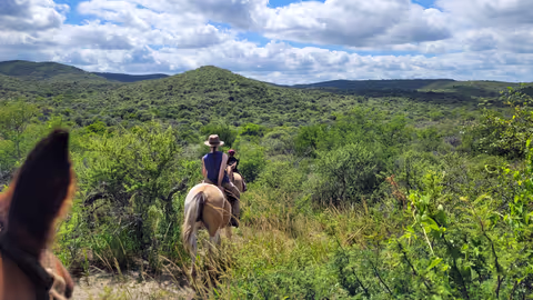 Horseback rides in Córdoba Hills