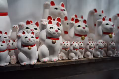 Shimokitazawa and Gotokuji: From tradition to vintage