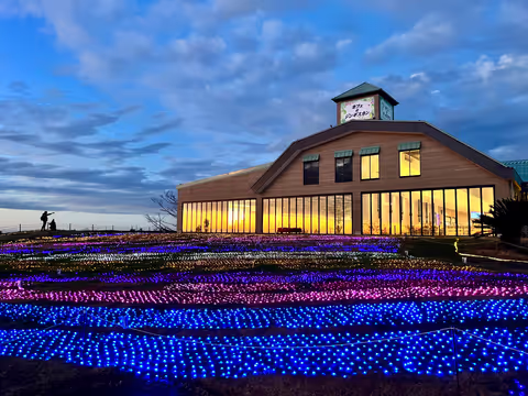 From Tokyo to Amazing Chiba "Mother Farm Illumination Lights” and "Sake Tasting" Afternoon Car Tour