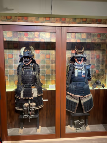 Kyoto Explorer: Ninja, Cuisine, and Castles