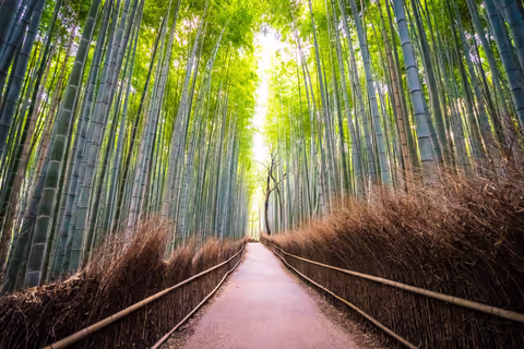 Arashiyama Awaits: A Serene Blend of Scenic Views and Cultural Gems