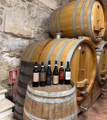 Valpolicella Wine Tour and Tastings