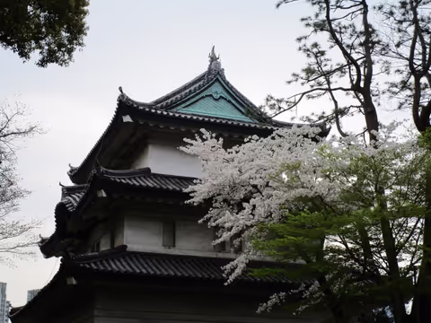 Edo Tokyo Tour: East Gardens  & Ueno Park or Asakusa
