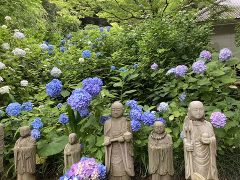 Scenic Kamakura, 6 hours