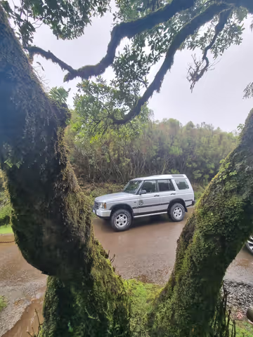 Full day west tour: Porto Moniz, Fanal forest