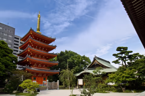 Learn and enjoy history of Fukuoka and its culture