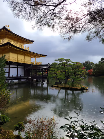 The Best of West Kyoto!!!- A Day Tour