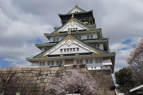 Full day Osaka tour in any season