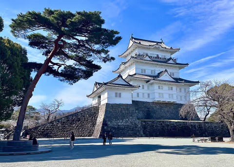 Explore Odawara Castle & Beyond: A Fun and Scenic Day Trip from Tokyo