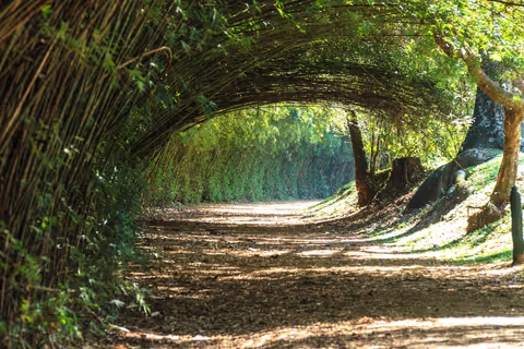 Green Retreat and Outdoor Shopping: A Perfect Day in São Paulo