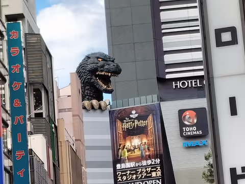 L'excursion d'une demi-journée au Sanctuaire Meiji et à l'Allee Souvenirs de Shinjuku