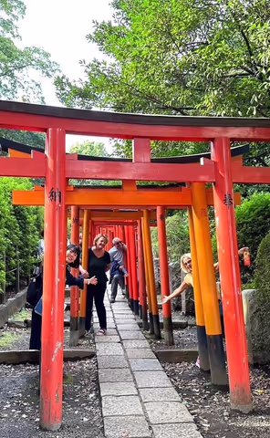 Tokyo Tailored: Your Perfect 7-Hour Adventure with Lily