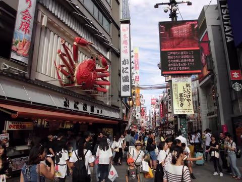 One day tour of Osaka