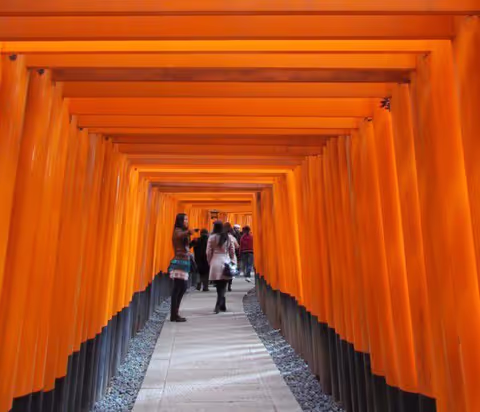 Kyoto Golden Route (Nijo Arashiyama Kinkakuji Fushimi Inari)