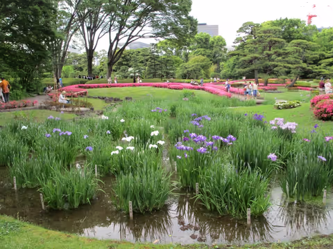 Discover Japan:  Japanese Garden & HANDICRAFT shopping