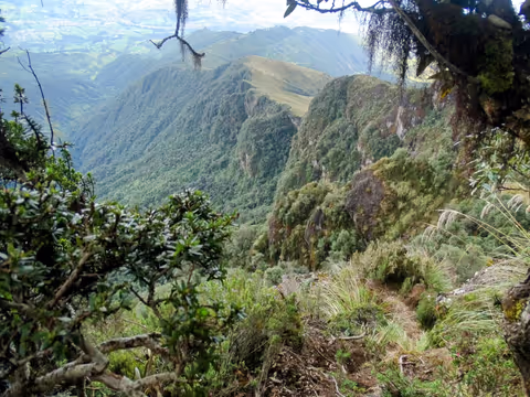 Pasochoa: You are invited to summit a Volcano of 4199m