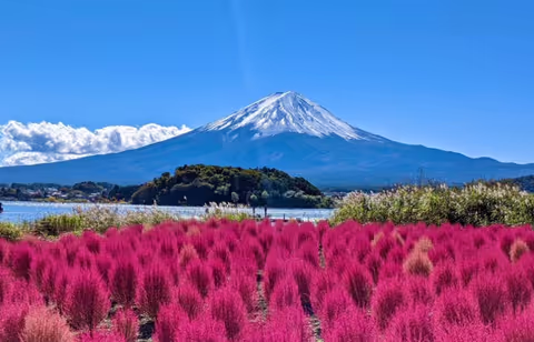 Private Car Trip to Mt. Fuji Area (from Tokyo)