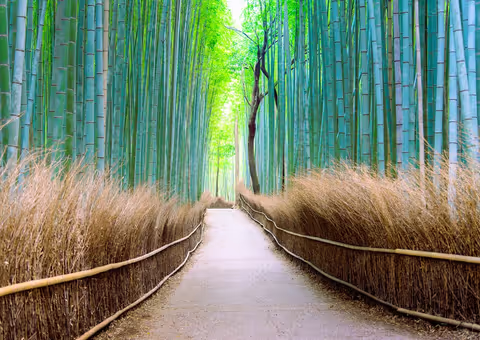 Kyoto, Arashiyama Expedition Walking Tour