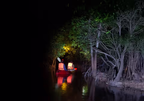 Dawn Mangrove Canoe Tour: Community-Based Ecotourism Experience