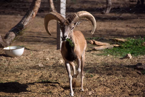 Excursion to "Jayron Eco-center" from Bukhara