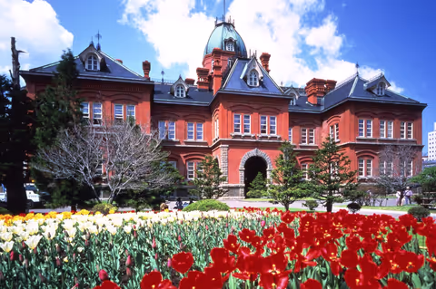 Sapporo 4-Hour Tour: Explore the City's Must-See Spots