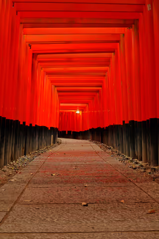 Kyoto Cultural & Scenic Tour