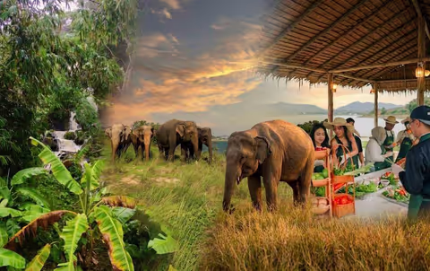Thai cooking class & Learn Thai elephants story at elephant sanctuary park